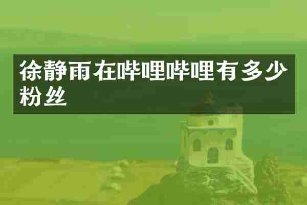 徐静雨在哔哩哔哩有多少粉丝