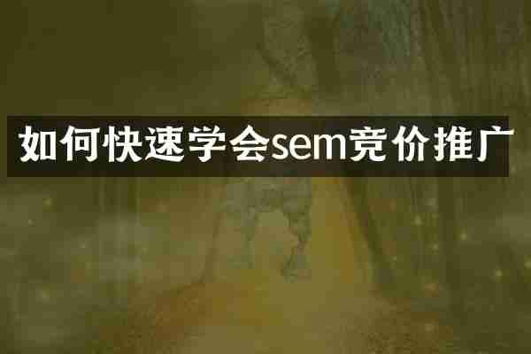 如何快速学会sem竞价推广