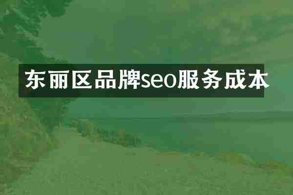 东丽区品牌seo服务成本