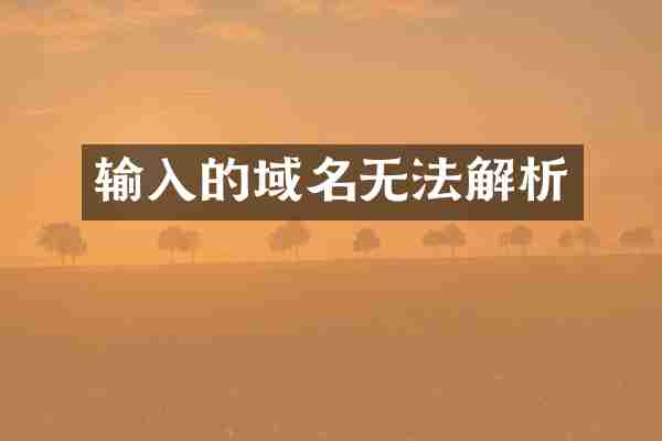 输入的域名无法解析