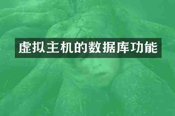 虚拟主机的数据库功能