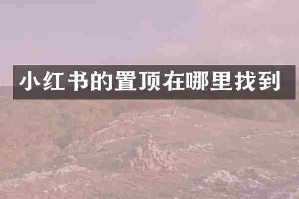 小红书的置顶在哪里找到