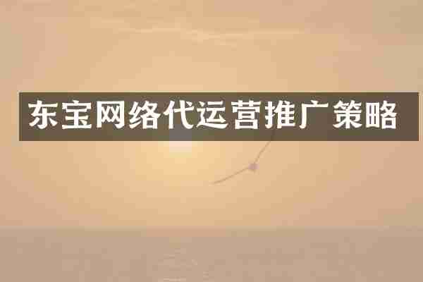 东宝网络代运营推广策略
