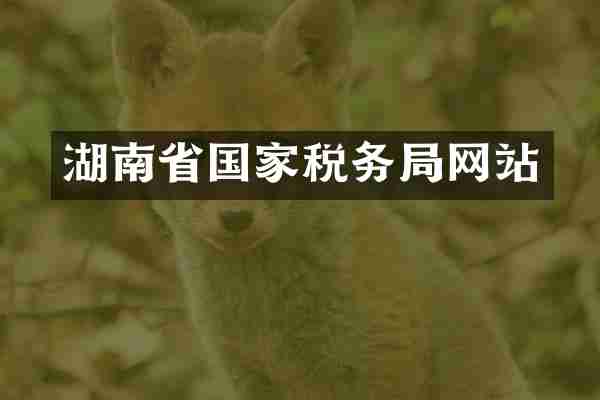 湖南省国家税务局网站
