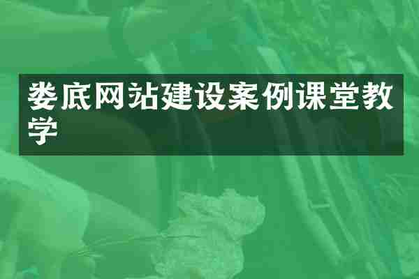 娄底网站建设案例课堂教学