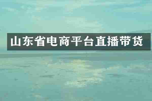 山东省电商平台直播带货