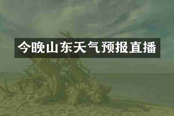 今晚山东天气预报直播