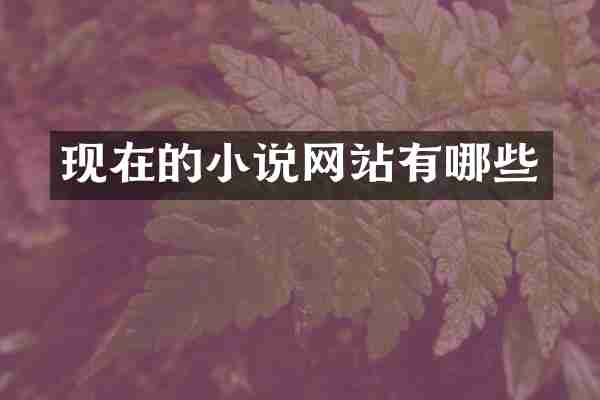 现在的小说网站有哪些