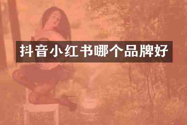 抖音小红书哪个品牌好