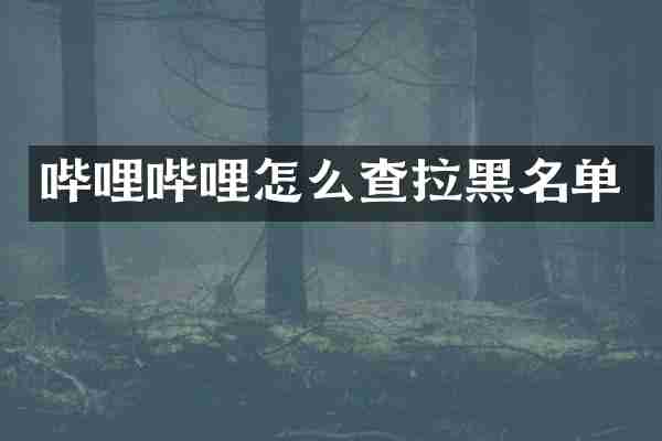 哔哩哔哩怎么查拉黑名单