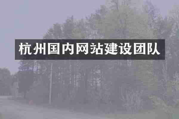 杭州国内网站建设团队