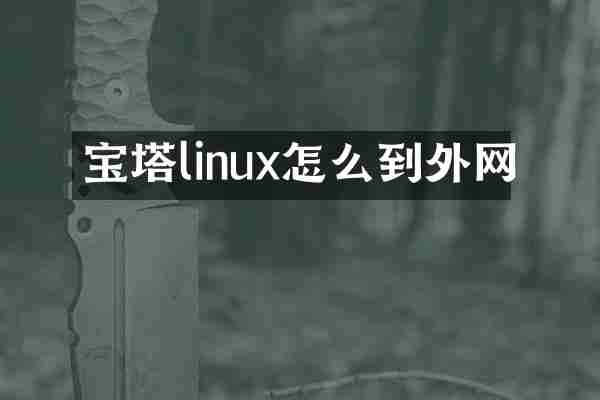 宝塔linux怎么到外网