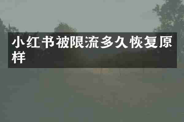 小红书被限流多久恢复原样