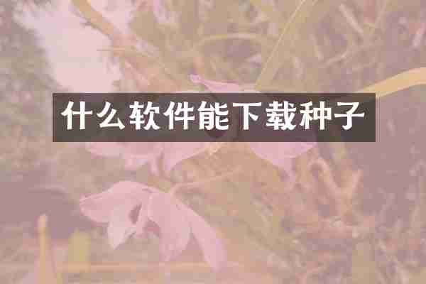什么软件能下载种子
