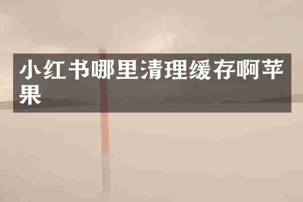 小红书哪里清理缓存啊苹果