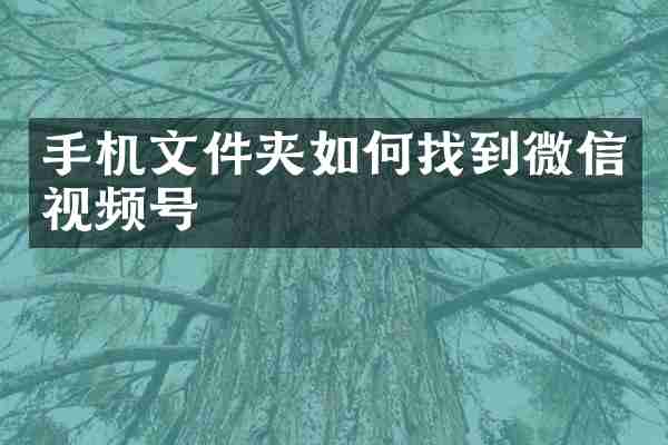 手机文件夹如何找到微信视频号