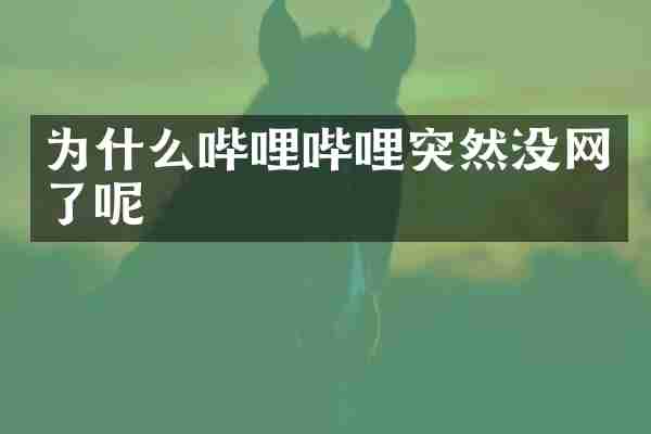 为什么哔哩哔哩突然没网了呢