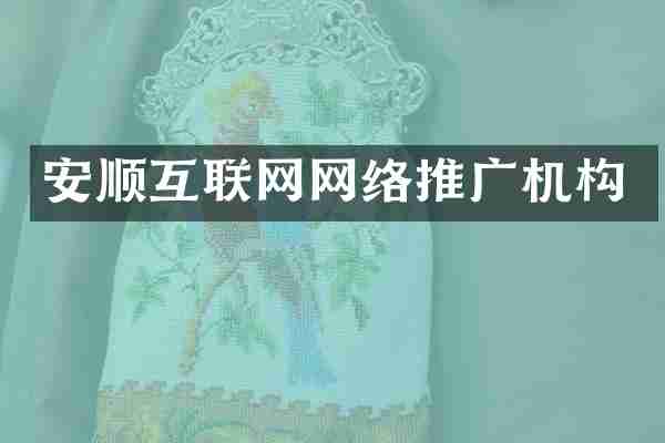安顺互联网网络推广机构