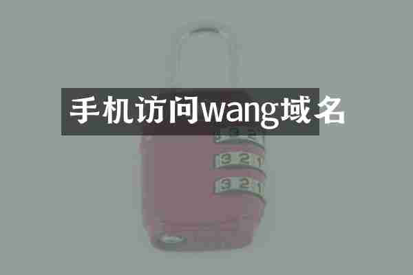 手机访问wang域名