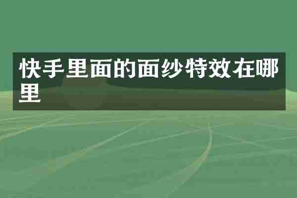 快手里面的面纱特效在哪里