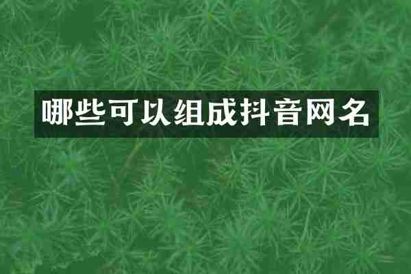 哪些可以组成抖音网名