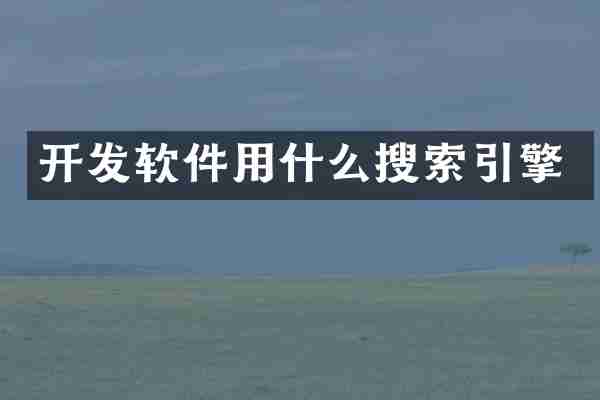 开发软件用什么搜索引擎
