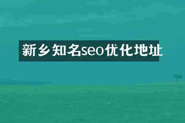 新乡知名seo优化地址