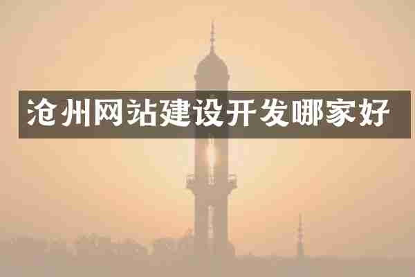 沧州网站建设开发哪家好