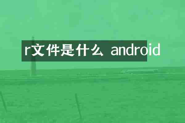 r文件是什么 android