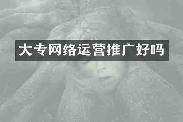 大专网络运营推广好吗