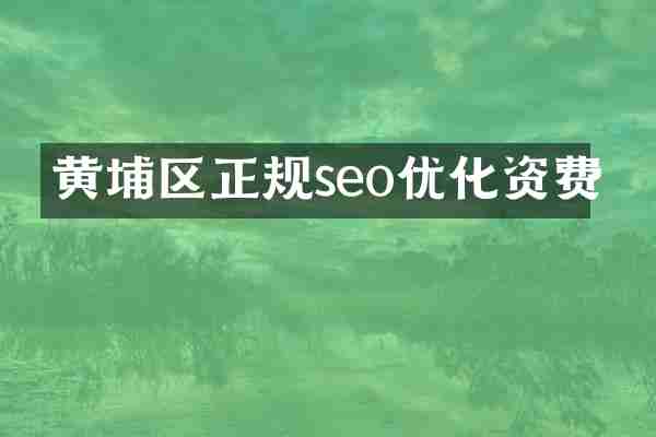 黄埔区正规seo优化资费