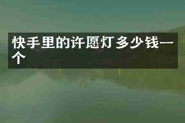 快手里的许愿灯多少钱一个