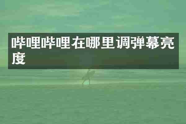 哔哩哔哩在哪里调弹幕亮度