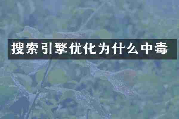 搜索引擎优化为什么中毒