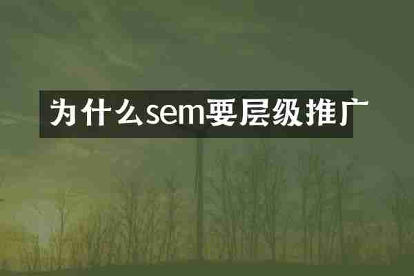 为什么sem要层级推广
