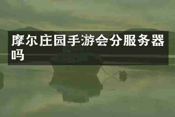 摩尔庄园手游会分服务器吗
