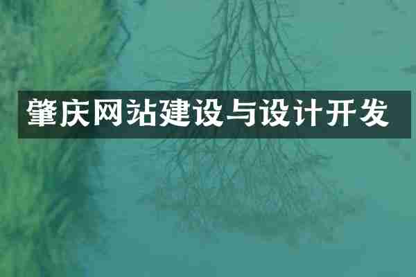 肇庆网站建设与设计开发