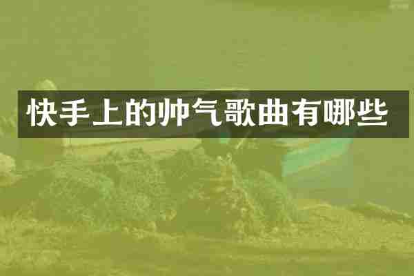 快手上的帅气歌曲有哪些