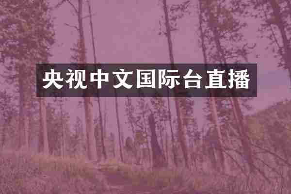 央视中文国际台直播