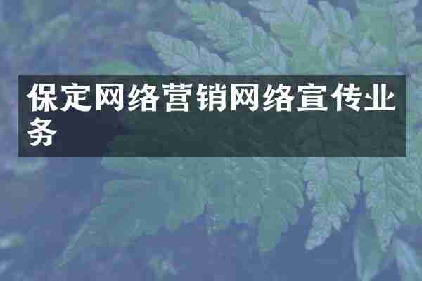 保定网络营销网络宣传业务