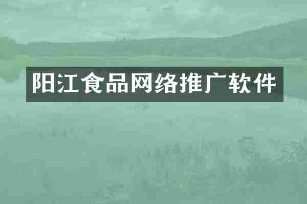 阳江食品网络推广软件