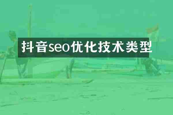 抖音seo优化技术类型