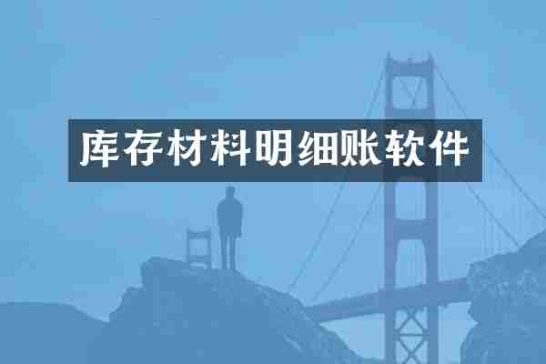 库存材料明细账软件