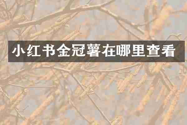 小红书金冠薯在哪里查看