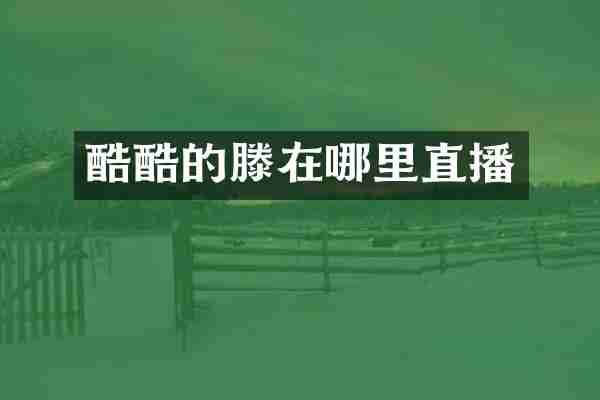 酷酷的滕在哪里直播