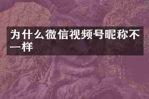 为什么微信视频号昵称不一样