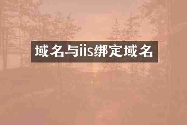域名与iis绑定域名