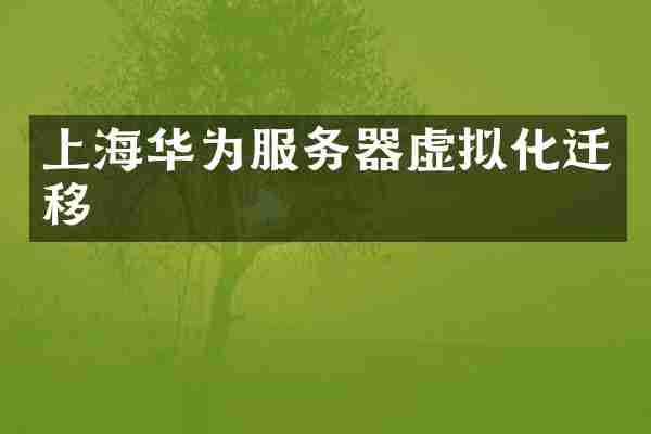 上海华为服务器虚拟化迁移