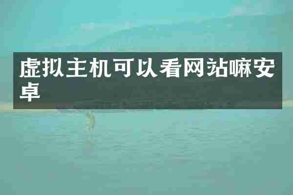 虚拟主机可以看网站嘛安卓