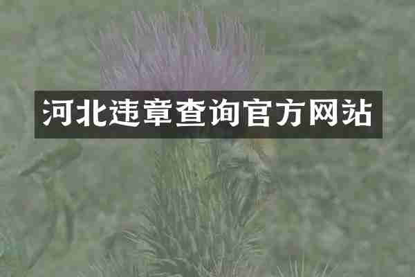 河北违章查询官方网站